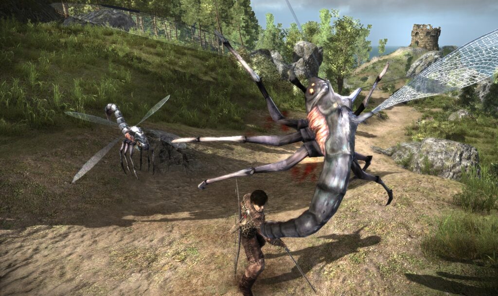 forum galeria images 010 Encounter with Bloodflies